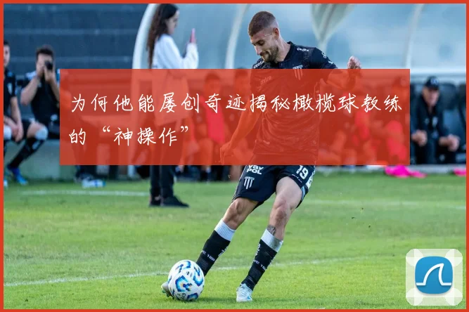 为何他能屡创奇迹揭秘橄榄球教练的“神操作”
